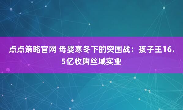 点点策略官网 母婴寒冬下的突围战:孩子王16.5亿收购丝域实业